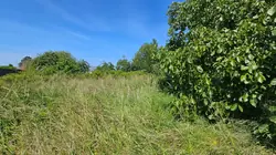 Vente maison en pierre Gouville-sur-mer  