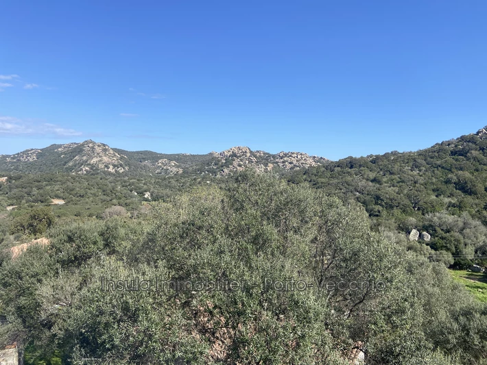 Location appartement Sotta  