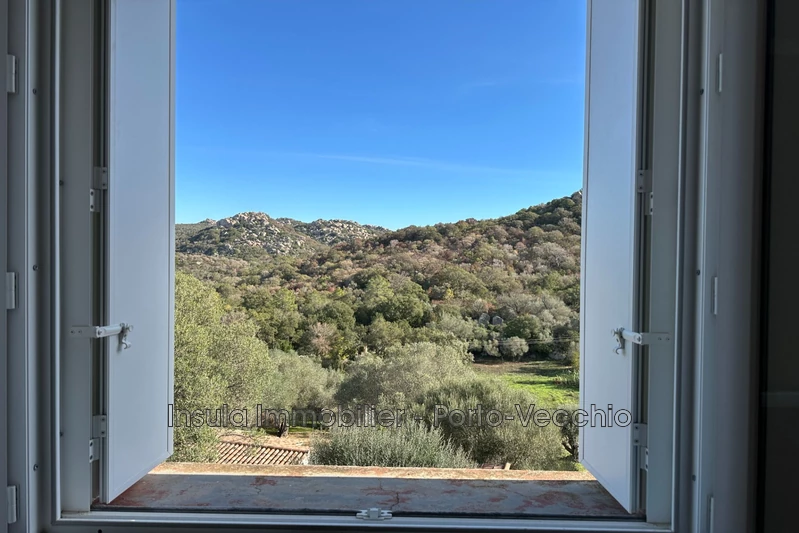 Location appartement Sotta  