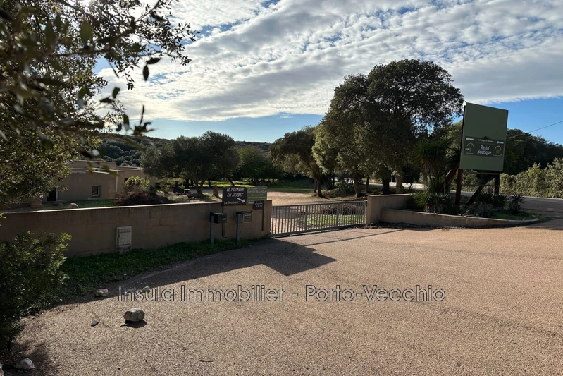 Professionnel bureau Bonifacio Professionnel bureau Bonifacio