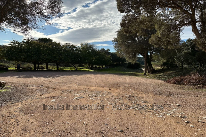 Professionnel local professionnel Bonifacio Professionnel local professionnel Bonifacio