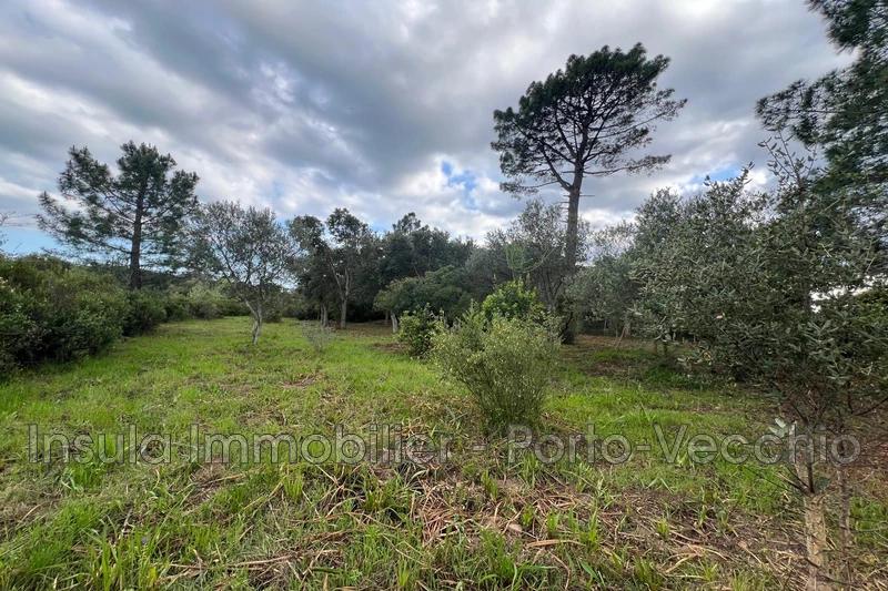 Vente terrain Sainte-Lucie de Porto-Vecchio  