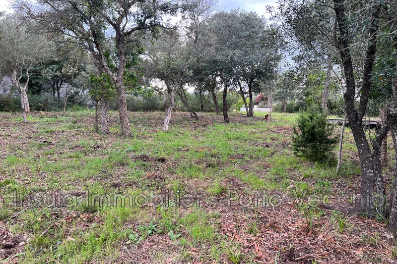 Vente terrain Sainte-Lucie de Porto-Vecchio  