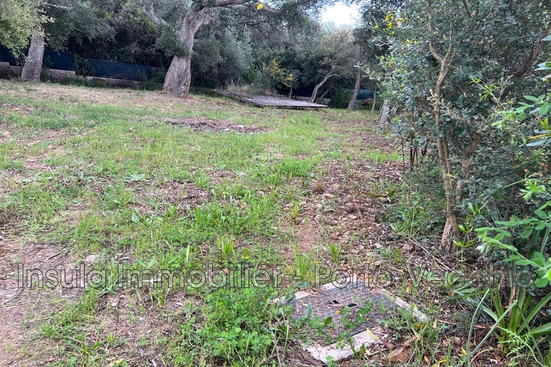 Vente terrain Sainte-Lucie de Porto-Vecchio  