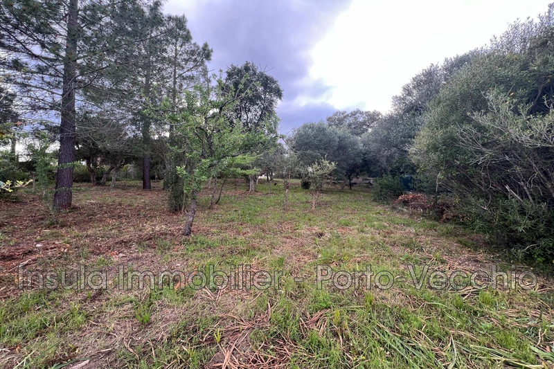 Vente terrain Sainte-Lucie de Porto-Vecchio  
