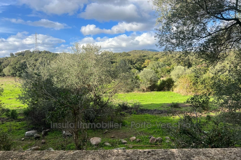 Vente maison Porto-Vecchio  