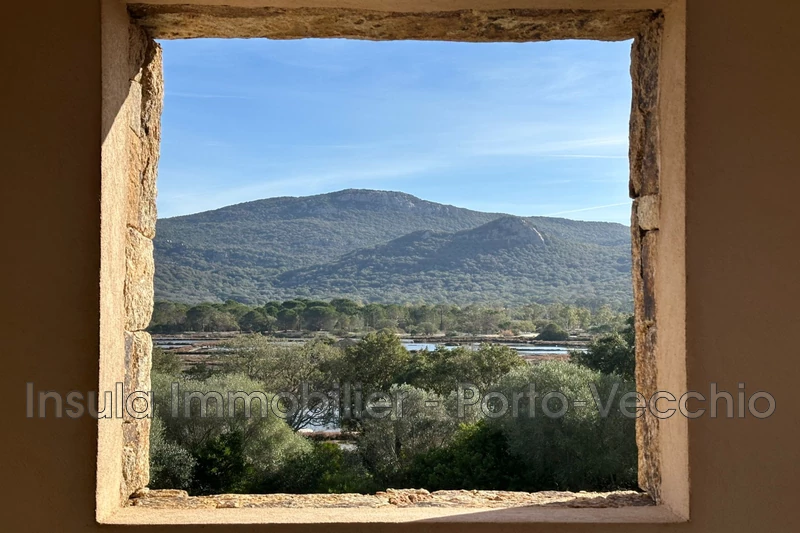 Vente appartement Porto-Vecchio  