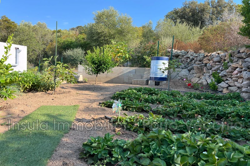 Vente maison Sainte-Lucie de Porto-Vecchio  
