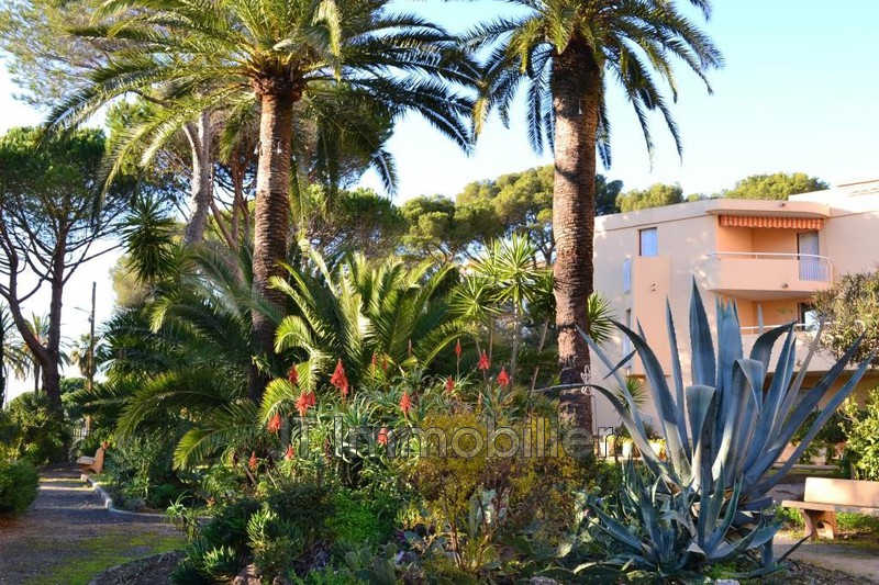 Vente appartement Saint-Raphaël  