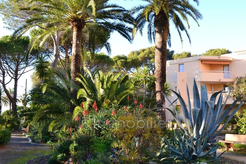 Vente appartement Saint-Raphaël  