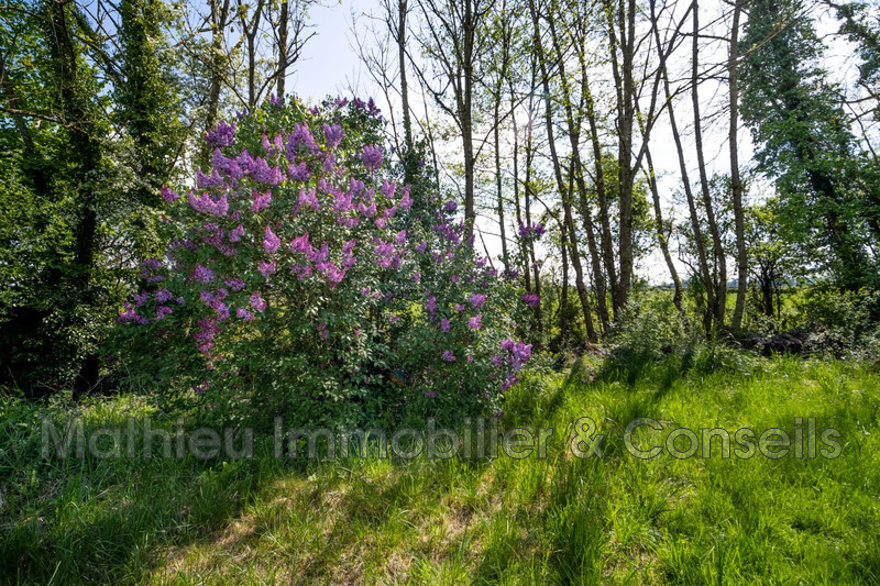 Vente maison Amagne  