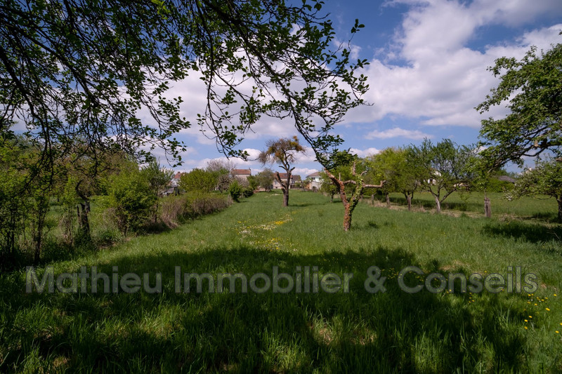 Vente maison Amagne  