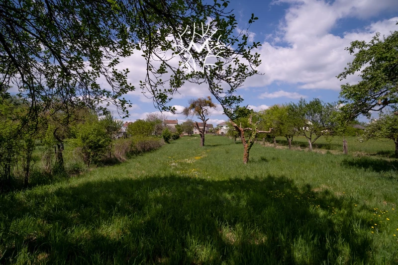 Vente maison Amagne  