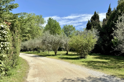 Vente mas Saint-Rémy-de-Provence  