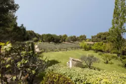 Vente mas Saint-Rémy-de-Provence  