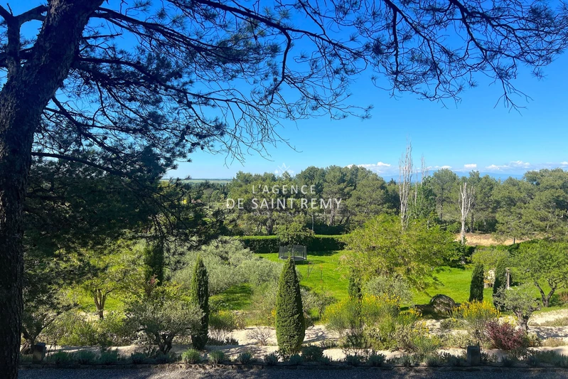Vente mas Saint-Rémy-de-Provence  