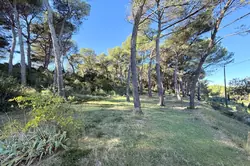 Vente mas Saint-Rémy-de-Provence  