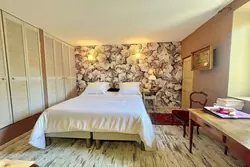 Vente maison en pierre Saint-Rémy-de-Provence  