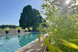 Vente maison de village Saint-Rémy-de-Provence  