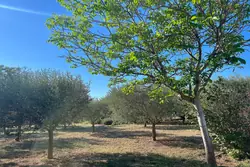 Vente mas Beaucaire  