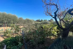 Vente mas Beaucaire  