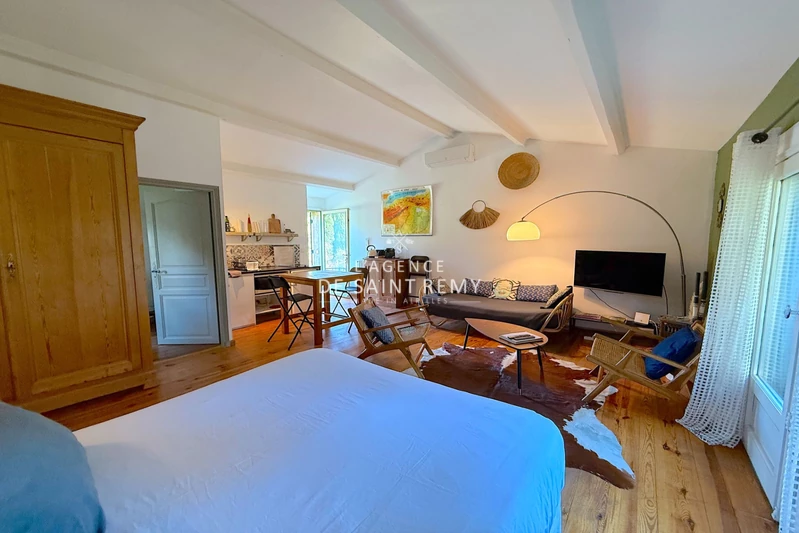 Vente propriété Saint-Rémy-de-Provence  
