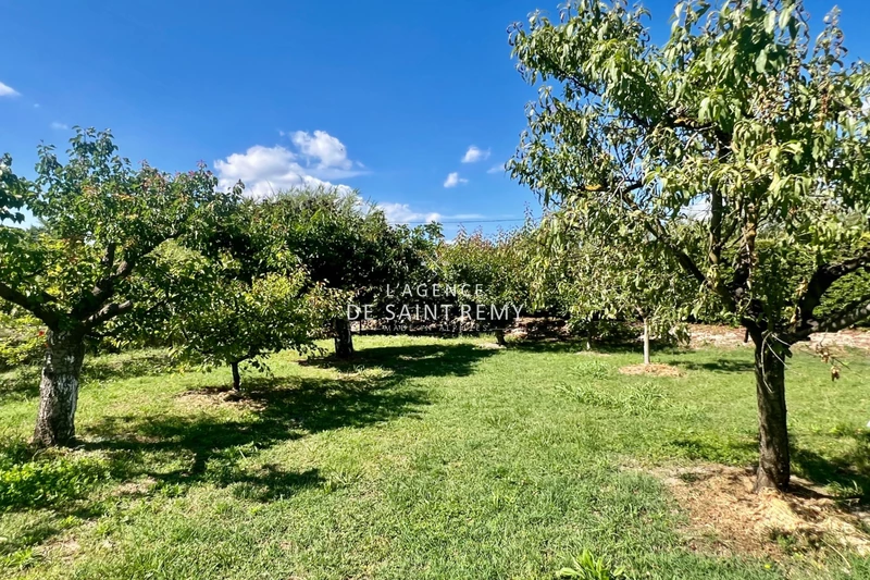 Vente villa Saint-Rémy-de-Provence  