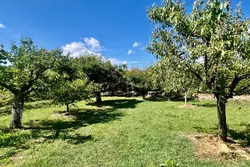Vente villa Saint-Rémy-de-Provence  
