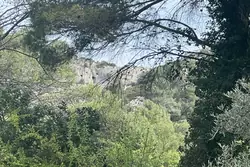 Vente villa provençale Saint-Rémy-de-Provence  
