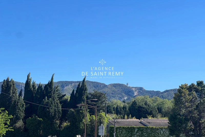 Vente villa Saint-Rémy-de-Provence  