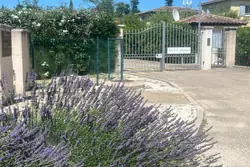 Vente mazet Saint-Rémy-de-Provence  