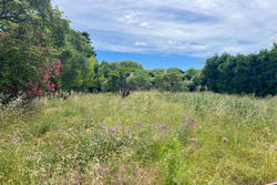 Vente maison de ville Saint-Rémy-de-Provence  