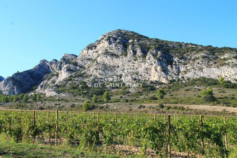 Vente maison Saint-Rémy-de-Provence  