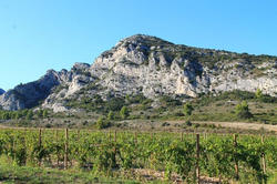 Vente maison Saint-Rémy-de-Provence  