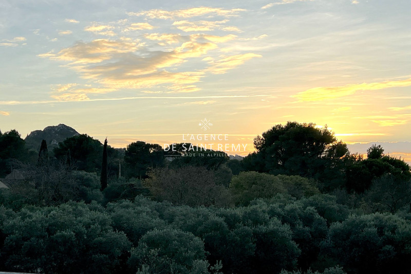 Vente bastide Saint-Rémy-de-Provence  