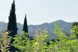 Vente villa Saint-Rémy-de-Provence  
