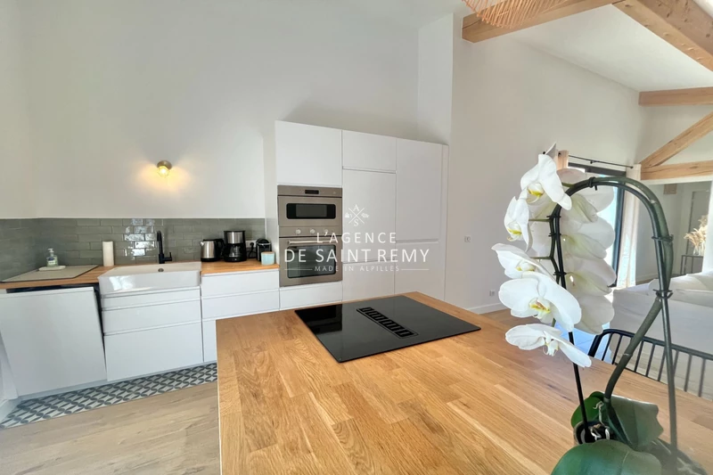 Vente villa Saint-Rémy-de-Provence  