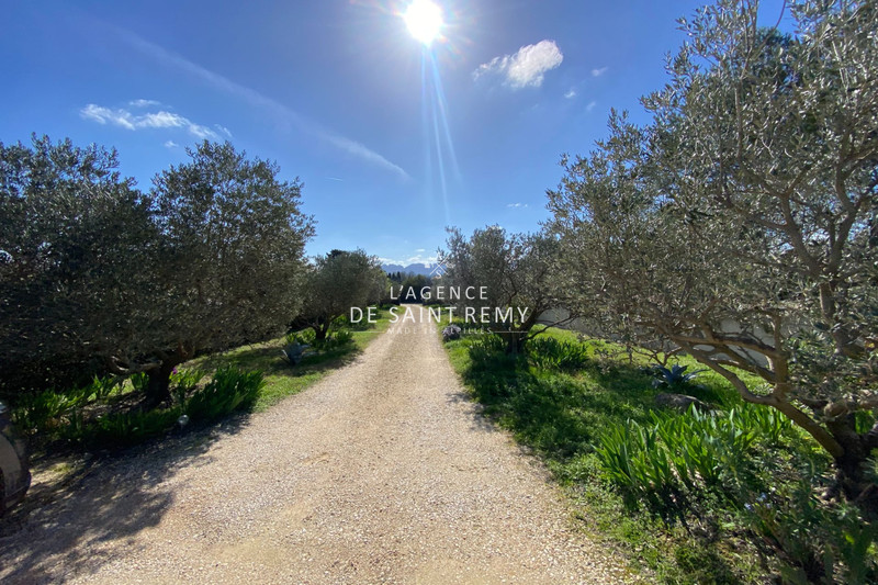 Vente villa Saint-Rémy-de-Provence  