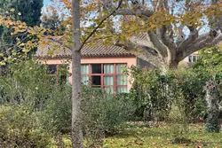 Vente maison de ville Graveson  