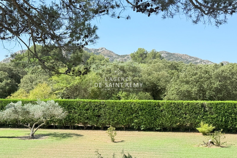 Vente mas Eygalières  
