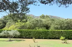 Vente mas Eygalières  