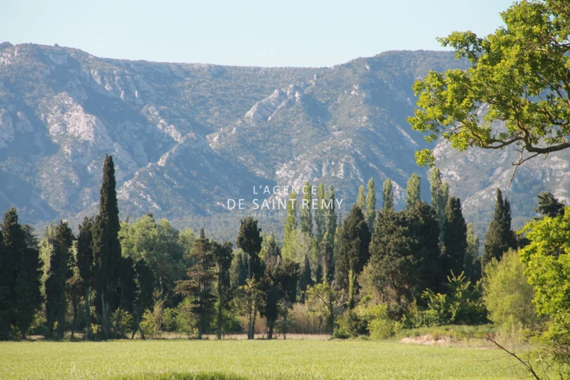 Vente mas Eygalières Vente mas Eygalières