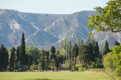 Vente mas Eygalières  