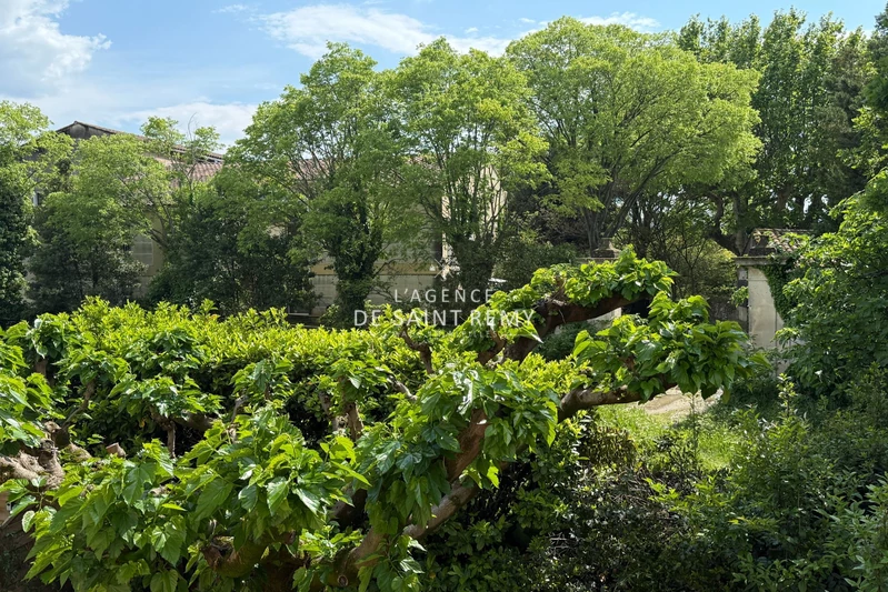 Vente maison Saint-Rémy-de-Provence  