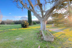 Vente maison Saint-Rémy-de-Provence  