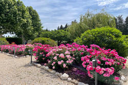 Vente maison Saint-Rémy-de-Provence  