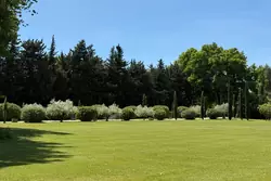 Vente maison Saint-Rémy-de-Provence  