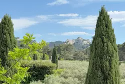 Vente maison en pierre Saint-Rémy-de-Provence  