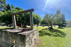 Vente mas Saint-Rémy-de-Provence  
