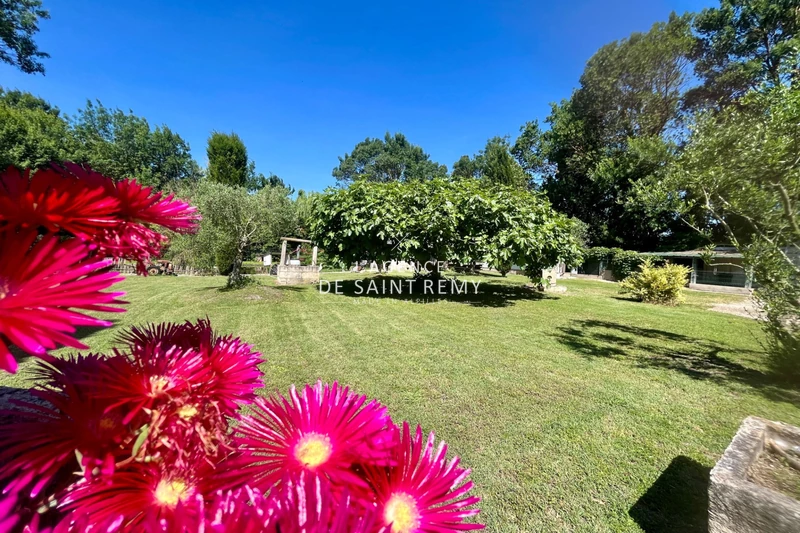 Vente mas Saint-Rémy-de-Provence  
